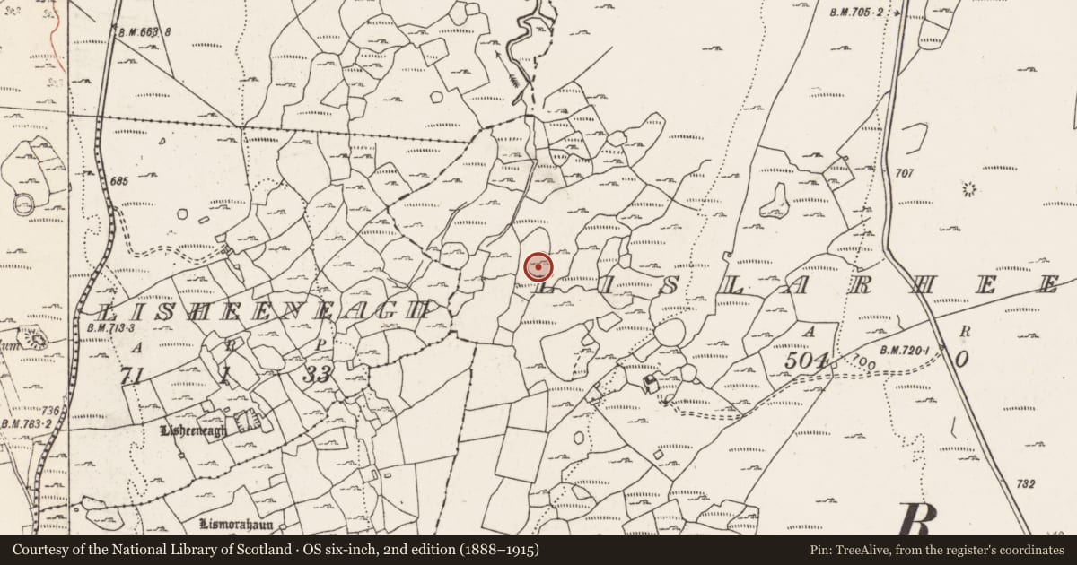 Ordnance Survey six-inch map, 2nd edition (1888–1915) covering the location of Enclosure, Lislarheenmore, County Clare, with a pin at the register's coordinates
