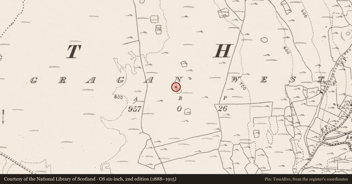 Ordnance Survey six-inch map, 2nd edition (1888–1915) covering the location of Enclosure, Gragan West, County Clare, with a pin at the register's coordinates