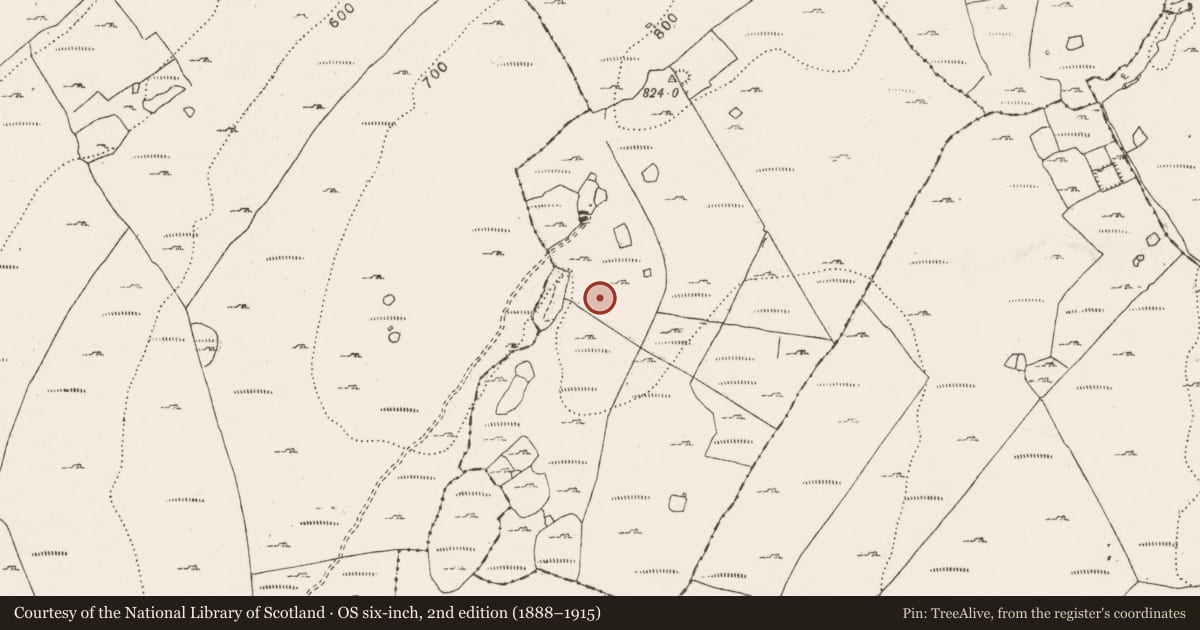 Ordnance Survey six-inch map, 2nd edition (1888–1915) covering the location of Enclosure, Ballycahill, County Clare, with a pin at the register's coordinates