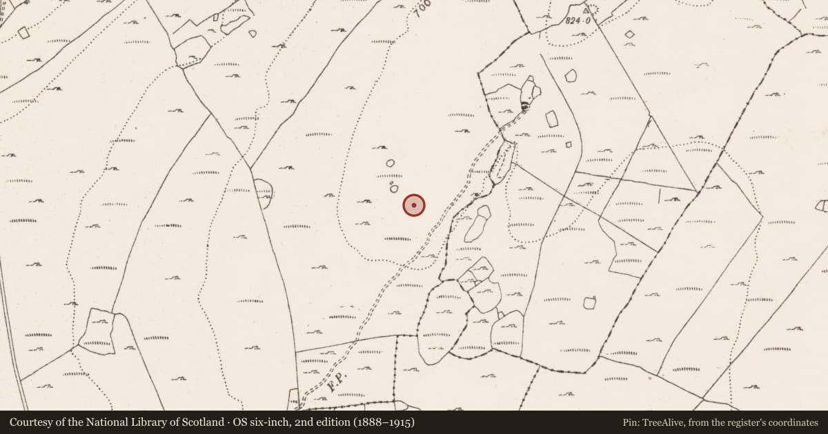 Ordnance Survey six-inch map, 2nd edition (1888–1915) covering the location of Enclosure, Ballyallaban, County Clare, with a pin at the register's coordinates