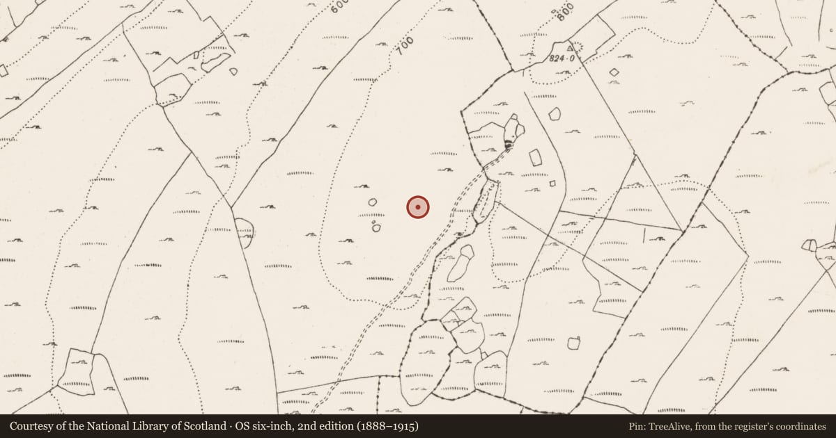 Ordnance Survey six-inch map, 2nd edition (1888–1915) covering the location of Enclosure, Ballyallaban, County Clare, with a pin at the register's coordinates