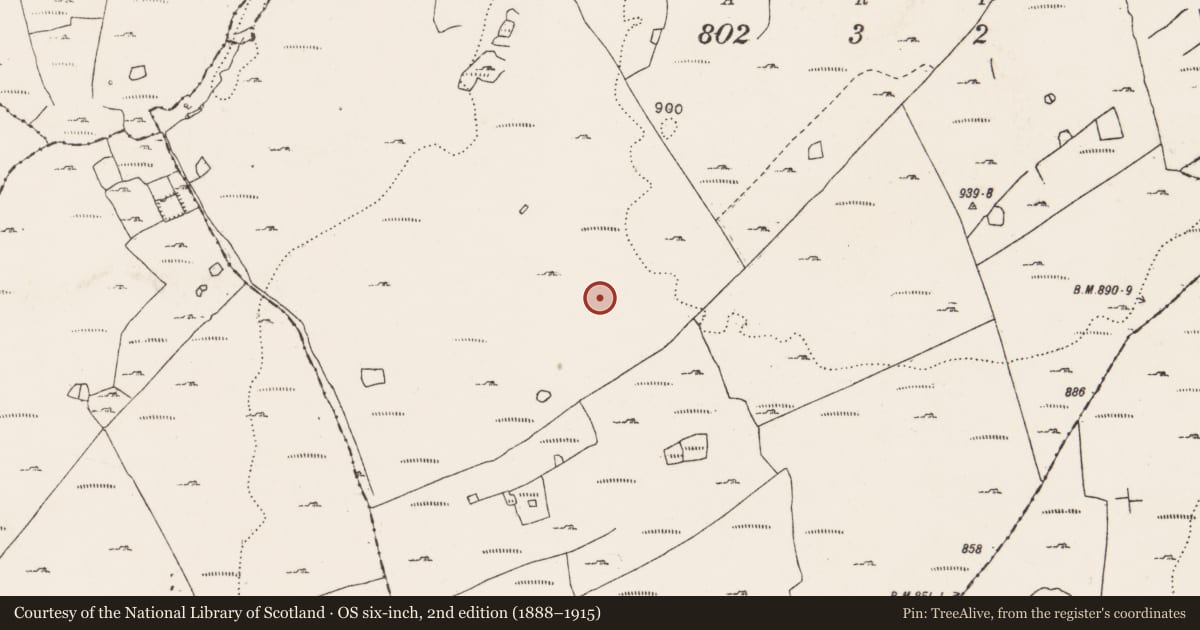 Ordnance Survey six-inch map, 2nd edition (1888–1915) covering the location of Enclosure, Aillwee, County Clare, with a pin at the register's coordinates