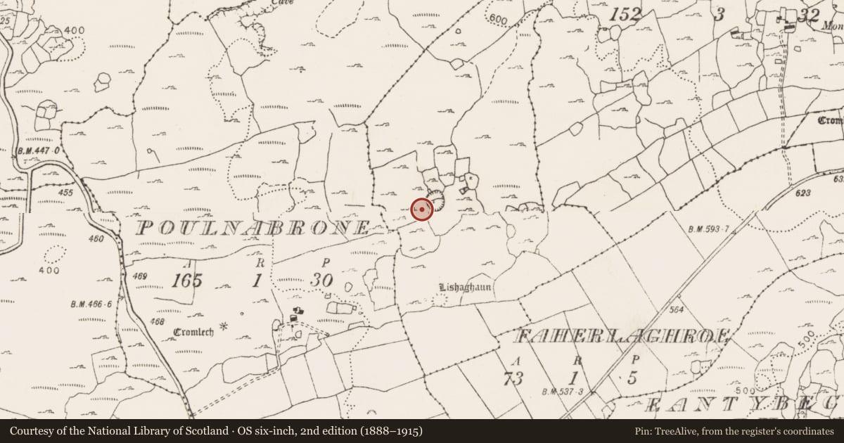 Ordnance Survey six-inch map, 2nd edition (1888–1915) covering the location of Enclosure, Poulgorm, Poulnabrone, County Clare, with a pin at the register's coordinates