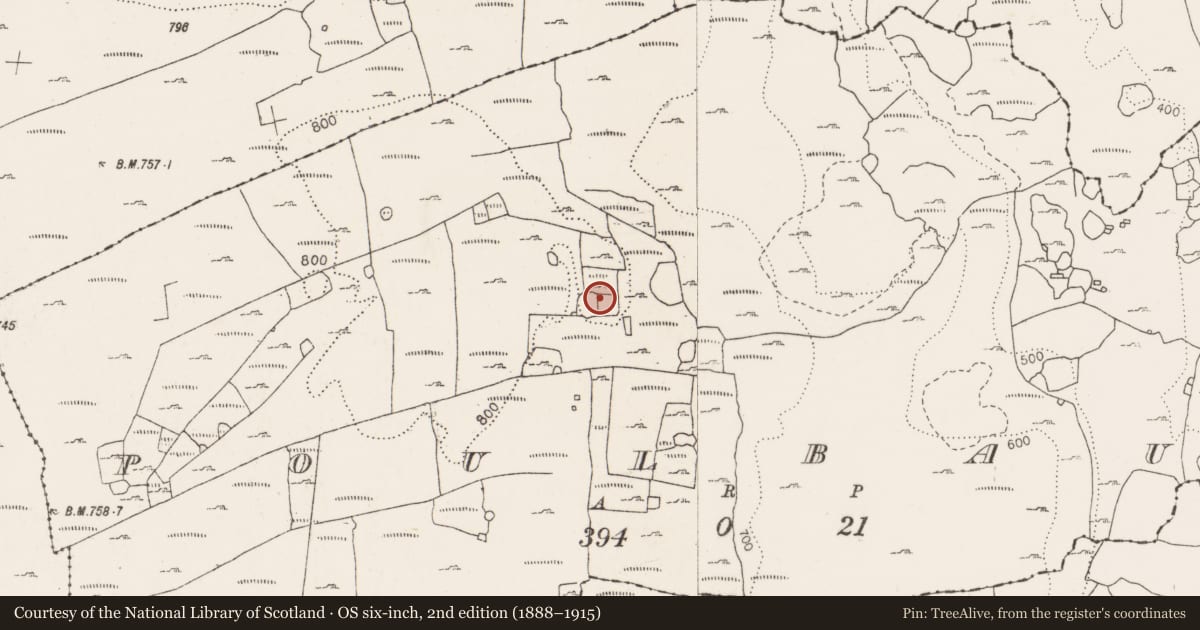 Ordnance Survey six-inch map, 2nd edition (1888–1915) covering the location of Hut site, Poulbaun, County Clare, with a pin at the register's coordinates