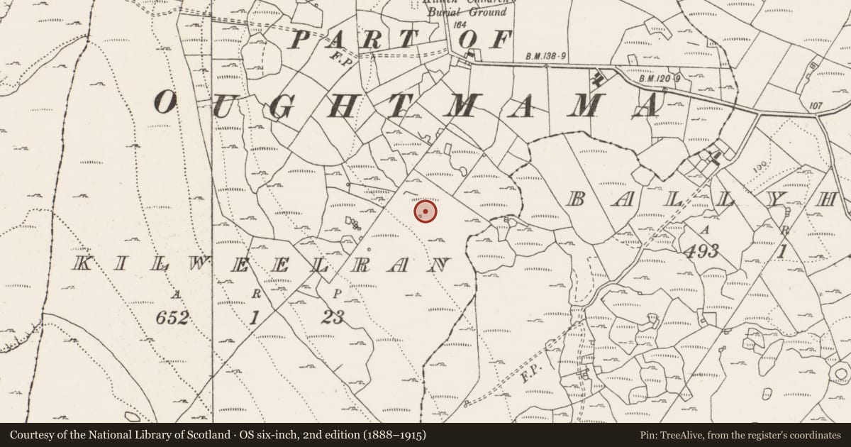 Ordnance Survey six-inch map, 2nd edition (1888–1915) covering the location of Fulacht fia, Kilweelran, County Clare, with a pin at the register's coordinates