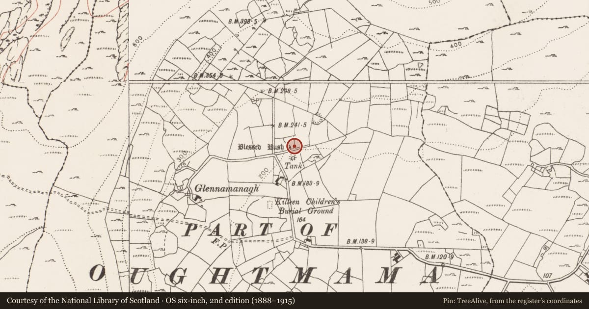 Ordnance Survey six-inch map, 2nd edition (1888–1915) covering the location of Ritual site - holy tree/bush, Kilweelran, County Clare, with a pin at the register's coordinates