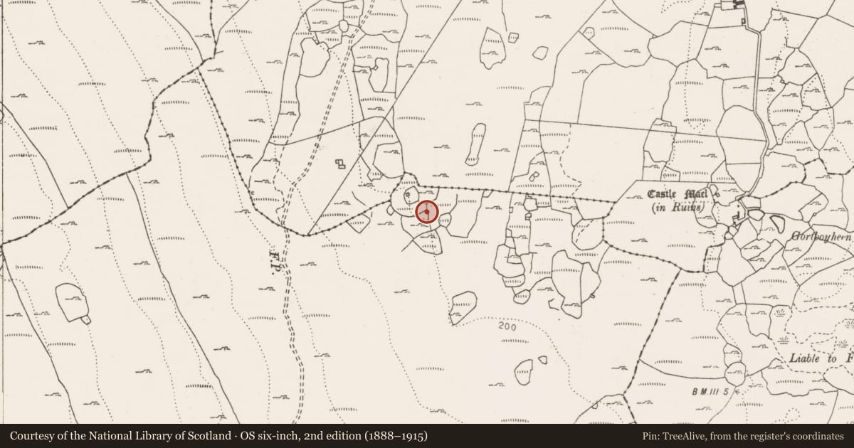 Ordnance Survey six-inch map, 2nd edition (1888–1915) covering the location of Field system, Aillwee, Ballyhehan, County Clare, with a pin at the register's coordinates