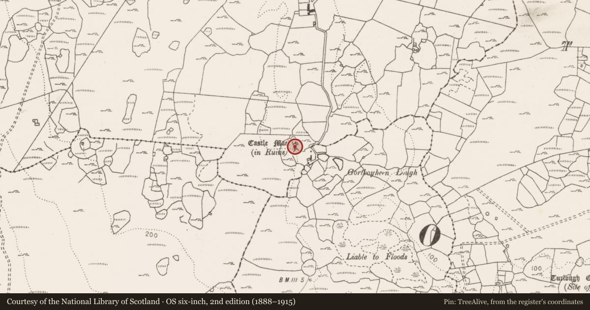 Ordnance Survey six-inch map, 2nd edition (1888–1915) covering the location of Castle - unclassified, Ballyhehan, County Clare, with a pin at the register's coordinates