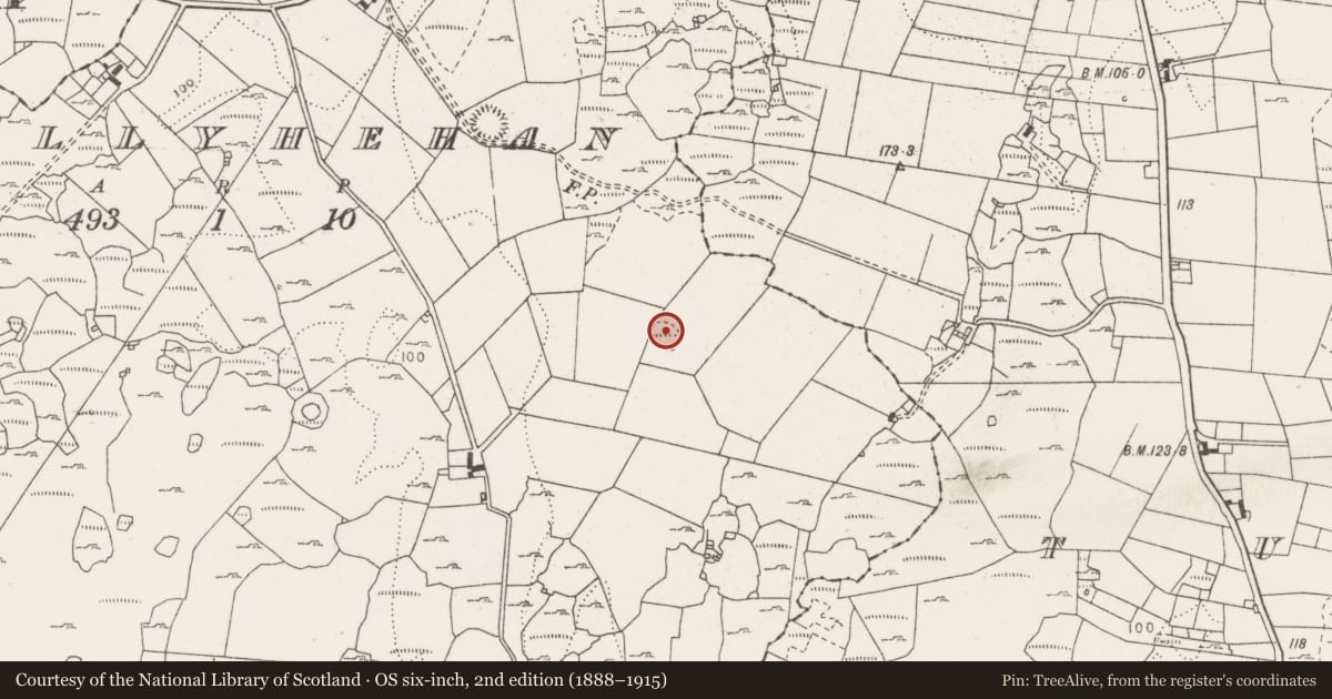 Ordnance Survey six-inch map, 2nd edition (1888–1915) covering the location of Ringfort - rath, Ballyhehan, County Clare, with a pin at the register's coordinates