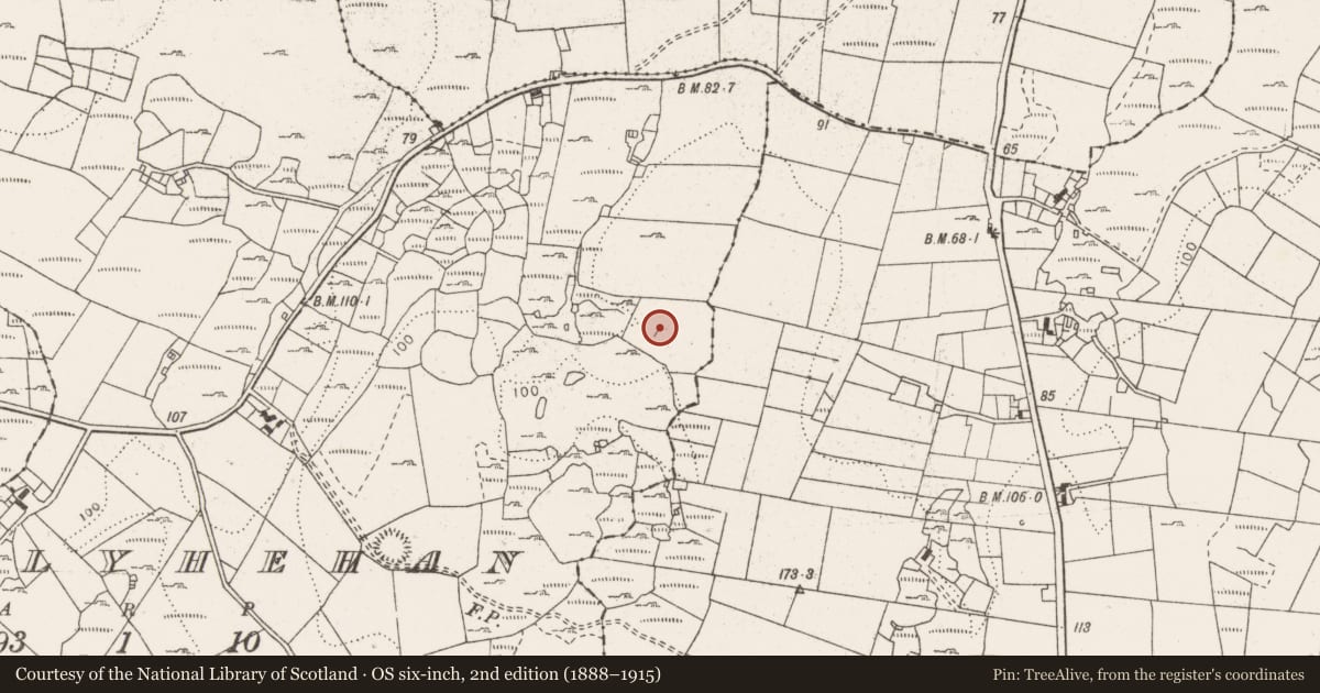 Ordnance Survey six-inch map, 2nd edition (1888–1915) covering the location of Enclosure, Ballyhehan, County Clare, with a pin at the register's coordinates