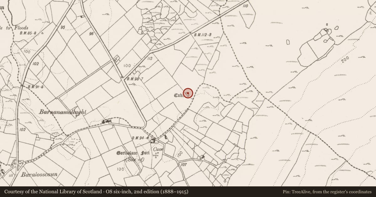 Ordnance Survey six-inch map, 2nd edition (1888–1915) covering the location of Enclosure, Turlough, County Clare, with a pin at the register's coordinates