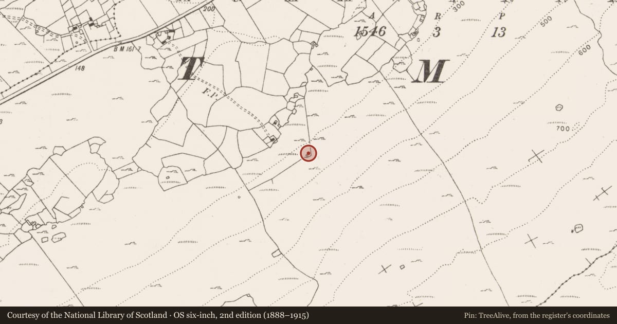 Ordnance Survey six-inch map, 2nd edition (1888–1915) covering the location of Fulacht fia, Aghawinnaun, County Clare, with a pin at the register's coordinates
