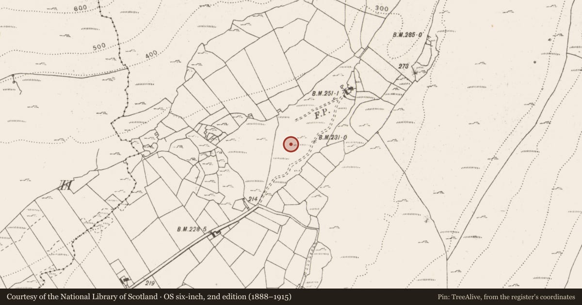 Ordnance Survey six-inch map, 2nd edition (1888–1915) covering the location of Fulacht fia, Aghawinnaun, County Clare, with a pin at the register's coordinates