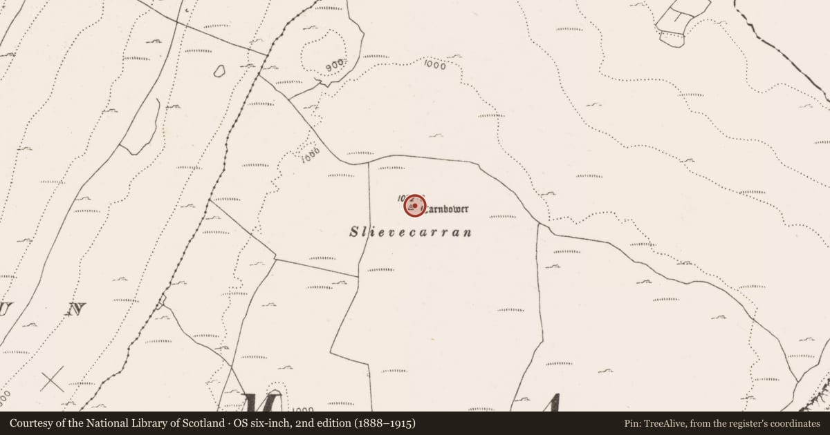 Ordnance Survey six-inch map, 2nd edition (1888–1915) covering the location of Cairn - unclassified, Slievecarran, County Clare, with a pin at the register's coordinates