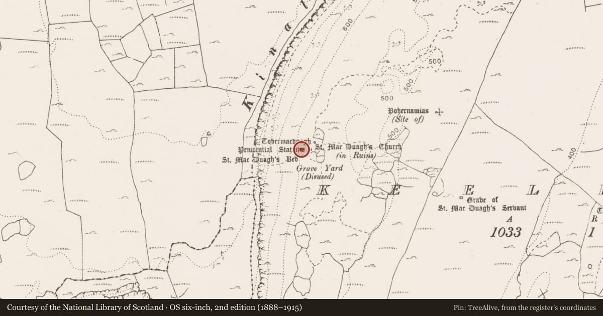 Ordnance Survey six-inch map, 2nd edition (1888–1915) covering the location of Bullaun stone, Keelhilla, County Clare, with a pin at the register's coordinates