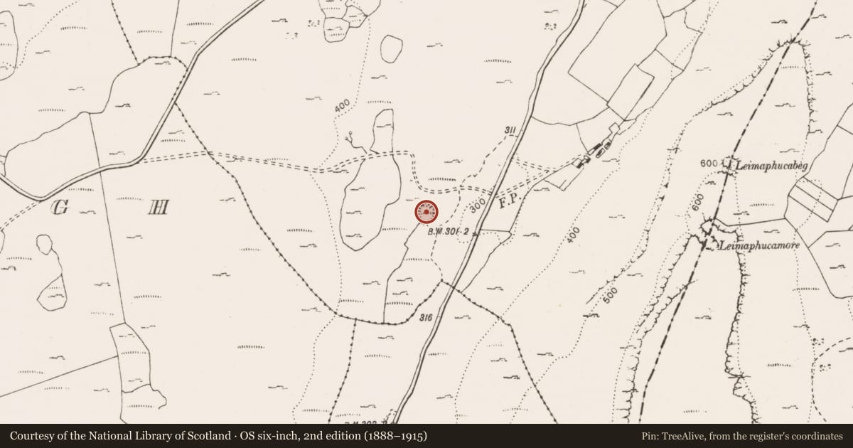 Ordnance Survey six-inch map, 2nd edition (1888–1915) covering the location of Ringfort - cashel, Keelhilla, County Clare, with a pin at the register's coordinates