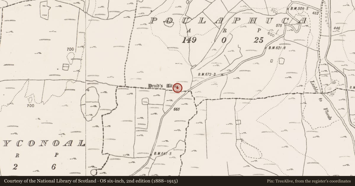 Ordnance Survey six-inch map, 2nd edition (1888–1915) covering the location of Megalithic tomb - wedge tomb, Poulaphuca, County Clare, with a pin at the register's coordinates