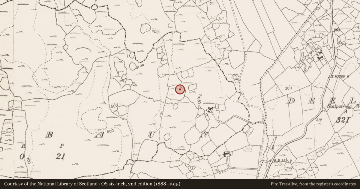 Ordnance Survey six-inch map, 2nd edition (1888–1915) covering the location of Field system, Poulbaun, County Clare, with a pin at the register's coordinates