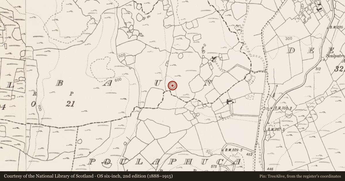 Ordnance Survey six-inch map, 2nd edition (1888–1915) covering the location of Ringfort - cashel, Poulbaun, County Clare, with a pin at the register's coordinates