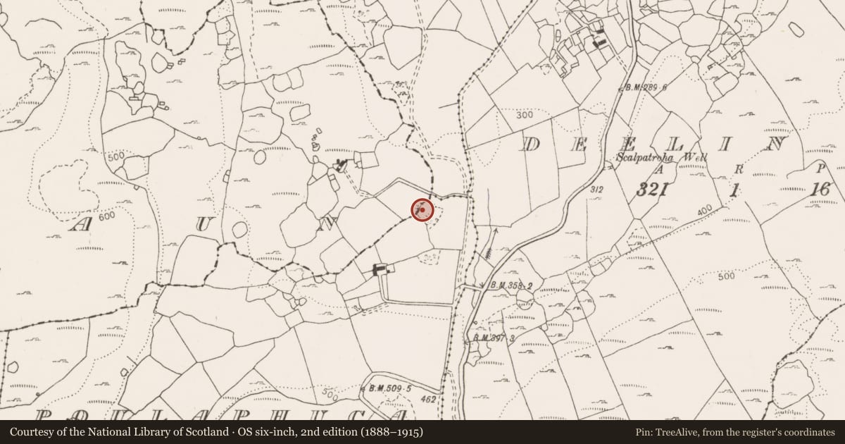 Ordnance Survey six-inch map, 2nd edition (1888–1915) covering the location of Ringfort - cashel, Poulaphuca, Poulbaun, County Clare, with a pin at the register's coordinates