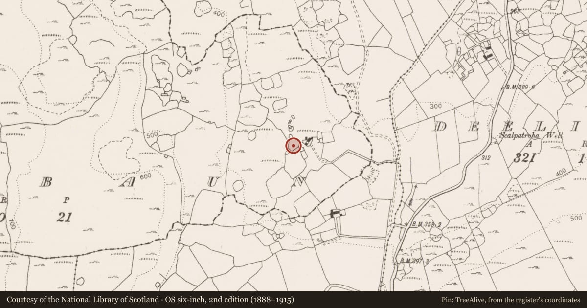 Ordnance Survey six-inch map, 2nd edition (1888–1915) covering the location of Souterrain, Poulbaun, County Clare, with a pin at the register's coordinates