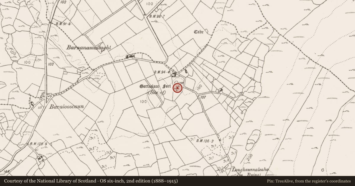 Ordnance Survey six-inch map, 2nd edition (1888–1915) covering the location of Ringfort - unclassified, Gortaclare, County Clare, with a pin at the register's coordinates