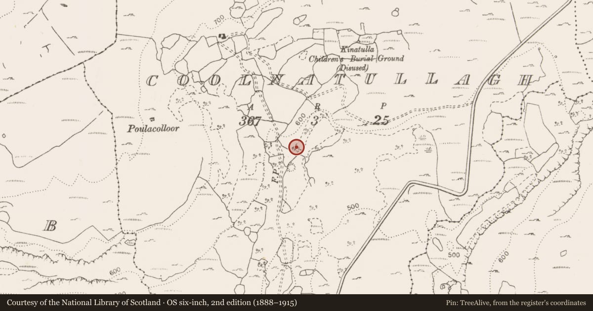 Ordnance Survey six-inch map, 2nd edition (1888–1915) covering the location of Field system, County Clare, with a pin at the register's coordinates
