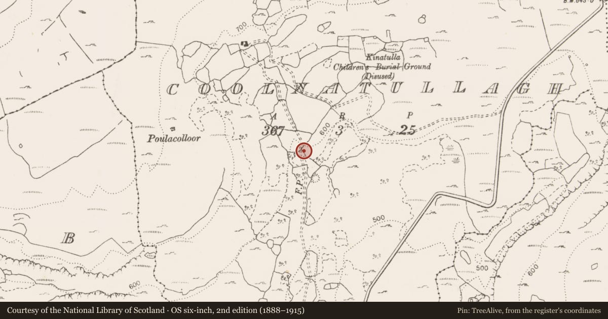 Ordnance Survey six-inch map, 2nd edition (1888–1915) covering the location of Enclosure, Coolnatullagh (Burren By., Carran Par.), County Clare, with a pin at the register's coordinates