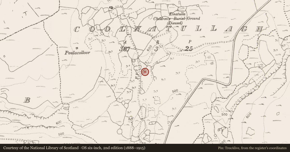 Ordnance Survey six-inch map, 2nd edition (1888–1915) covering the location of Ringfort - cashel, Coolnatullagh (Burren By., Carran Par.), County Clare, with a pin at the register's coordinates