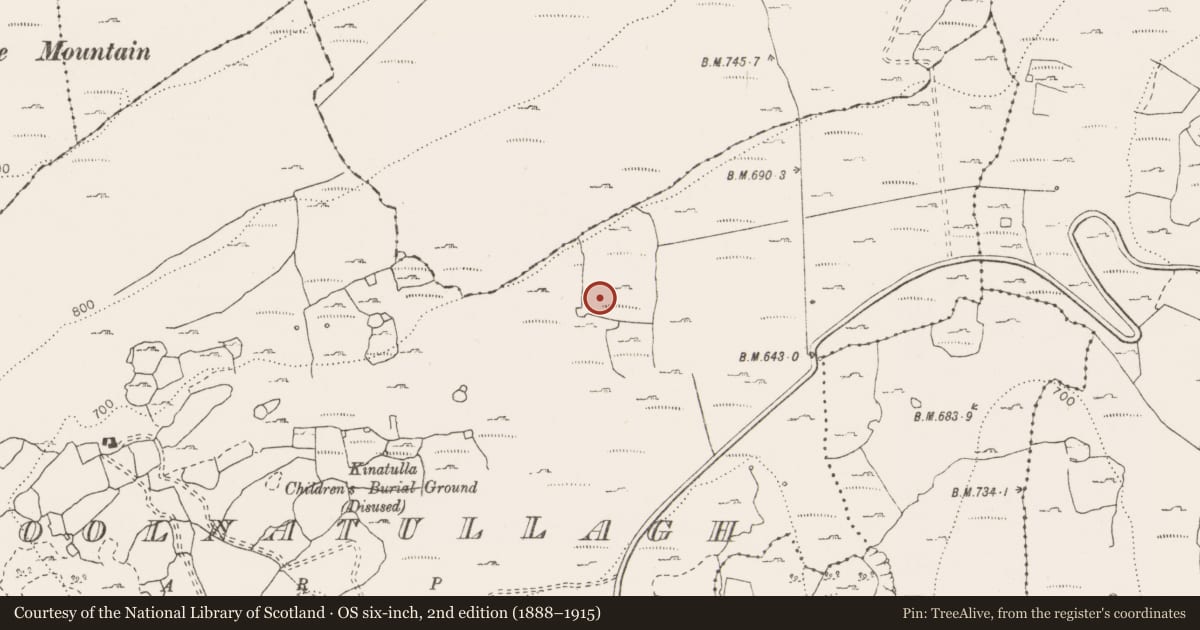 Ordnance Survey six-inch map, 2nd edition (1888–1915) covering the location of Hut site, Coolnatullagh (Burren By., Carran Par.), County Clare, with a pin at the register's coordinates