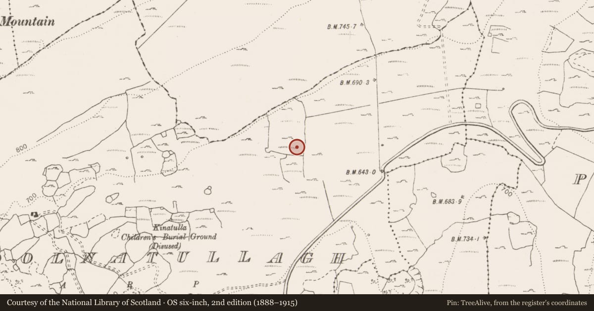 Ordnance Survey six-inch map, 2nd edition (1888–1915) covering the location of Megalithic tomb - wedge tomb, Coolnatullagh (Burren By., Carran Par.), County Clare, with a pin at the register's coordinates