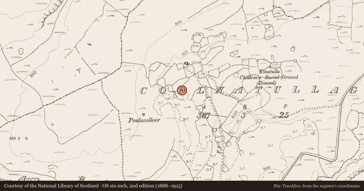 Ordnance Survey six-inch map, 2nd edition (1888–1915) covering the location of Cairn - unclassified, Coolnatullagh (Burren By., Carran Par.), County Clare, with a pin at the register's coordinates