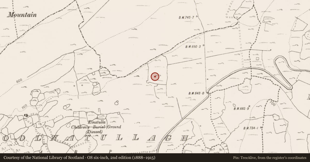 Ordnance Survey six-inch map, 2nd edition (1888–1915) covering the location of Hut site, Coolnatullagh (Burren By., Carran Par.), County Clare, with a pin at the register's coordinates