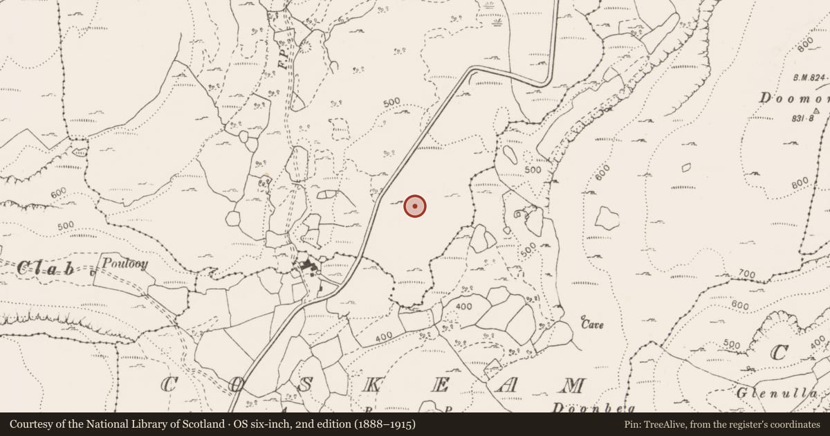 Ordnance Survey six-inch map, 2nd edition (1888–1915) covering the location of Ringfort - cashel, Coolnatullagh (Burren By., Carran Par.), County Clare, with a pin at the register's coordinates