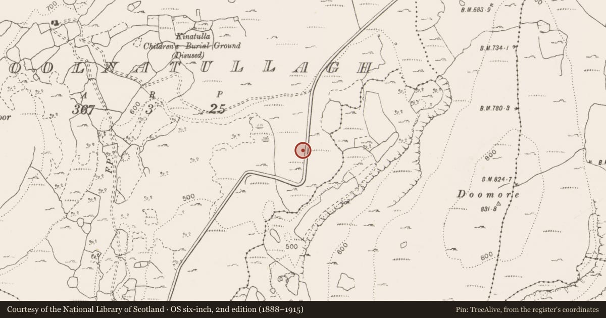 Ordnance Survey six-inch map, 2nd edition (1888–1915) covering the location of Cist, Coolnatullagh (Burren By., Carran Par.), County Clare, with a pin at the register's coordinates