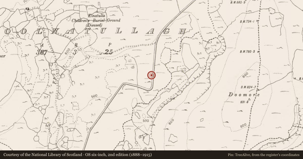 Ordnance Survey six-inch map, 2nd edition (1888–1915) covering the location of Field system, Coolnatullagh (Burren By., Carran Par.), County Clare, with a pin at the register's coordinates