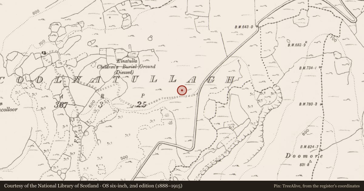 Ordnance Survey six-inch map, 2nd edition (1888–1915) covering the location of Cairn - unclassified, Coolnatullagh (Burren By., Carran Par.), County Clare, with a pin at the register's coordinates