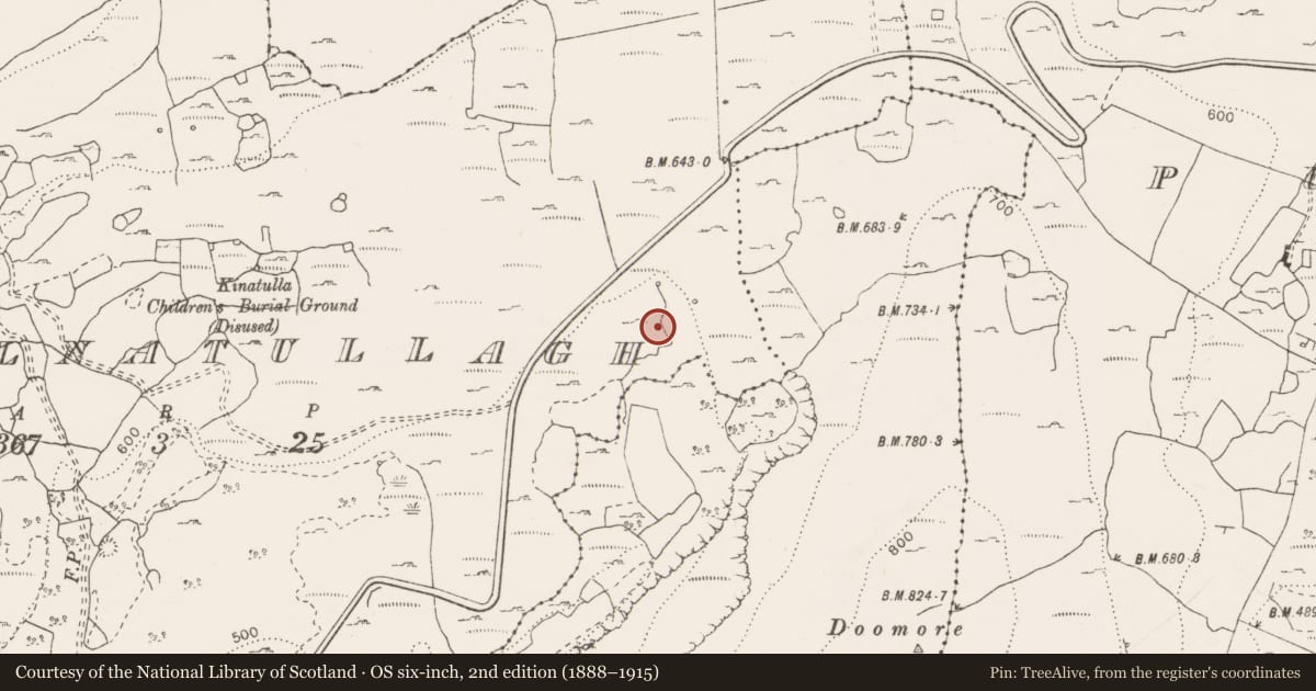 Ordnance Survey six-inch map, 2nd edition (1888–1915) covering the location of Fulacht fia, Coolnatullagh (Burren By., Carran Par.), County Clare, with a pin at the register's coordinates