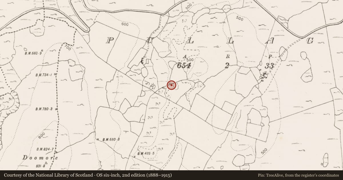 Ordnance Survey six-inch map, 2nd edition (1888–1915) covering the location of Enclosure, Pullagh, County Clare, with a pin at the register's coordinates