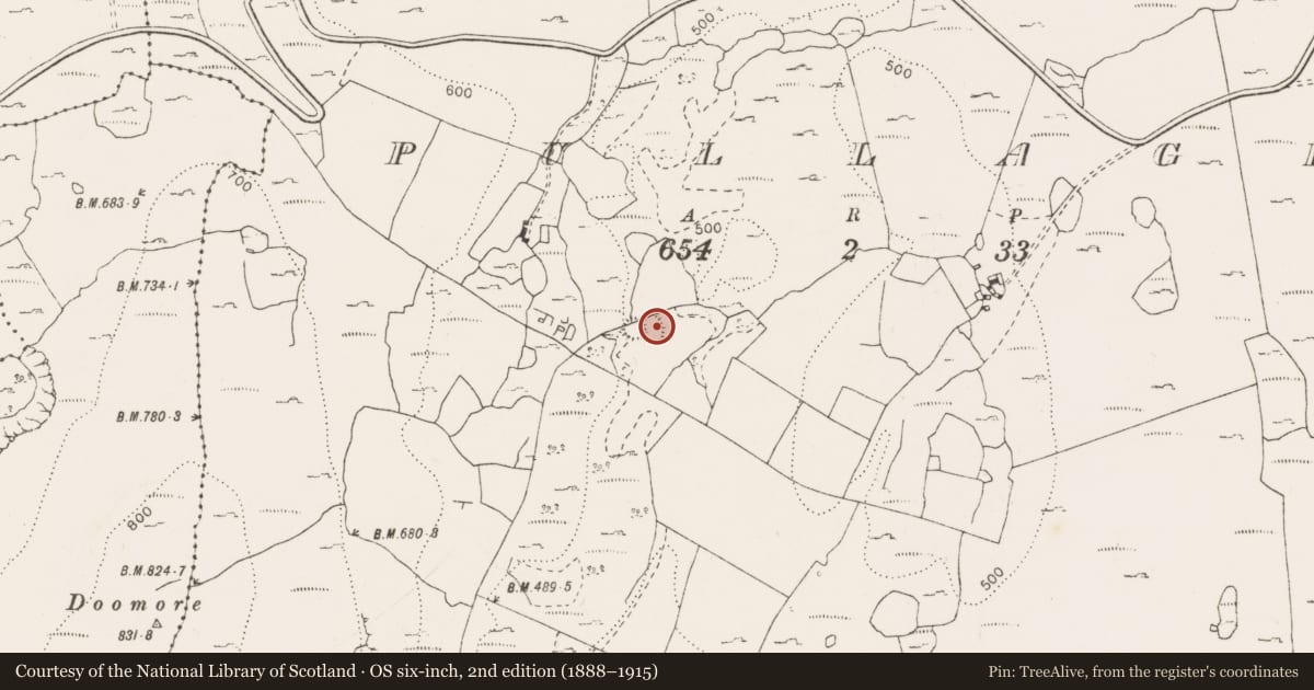 Ordnance Survey six-inch map, 2nd edition (1888–1915) covering the location of Enclosure, Pullagh, County Clare, with a pin at the register's coordinates