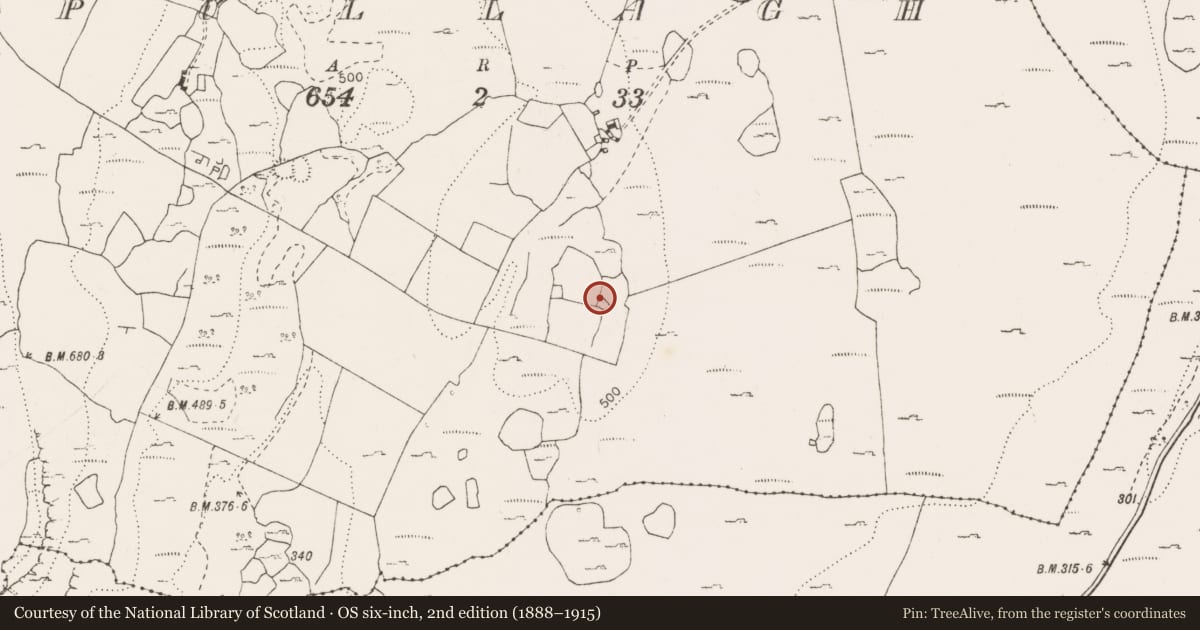 Ordnance Survey six-inch map, 2nd edition (1888–1915) covering the location of Field system, Pullagh, County Clare, with a pin at the register's coordinates