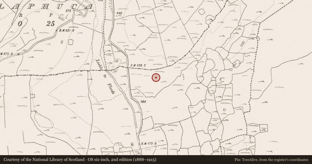 Ordnance Survey six-inch map, 2nd edition (1888–1915) covering the location of Megalithic tomb - wedge tomb, Rannagh West, County Clare, with a pin at the register's coordinates
