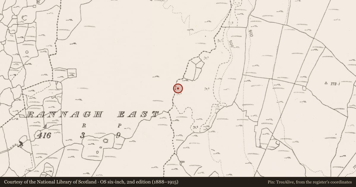 Ordnance Survey six-inch map, 2nd edition (1888–1915) covering the location of Enclosure, Termon, County Clare, with a pin at the register's coordinates