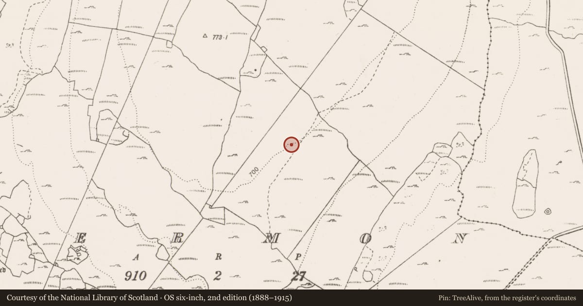 Ordnance Survey six-inch map, 2nd edition (1888–1915) covering the location of Megalithic tomb - wedge tomb, Termon, County Clare, with a pin at the register's coordinates