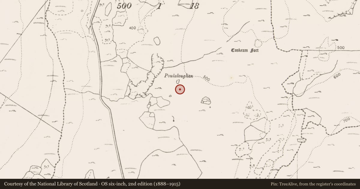Ordnance Survey six-inch map, 2nd edition (1888–1915) covering the location of Hut site, Coskeam, County Clare, with a pin at the register's coordinates
