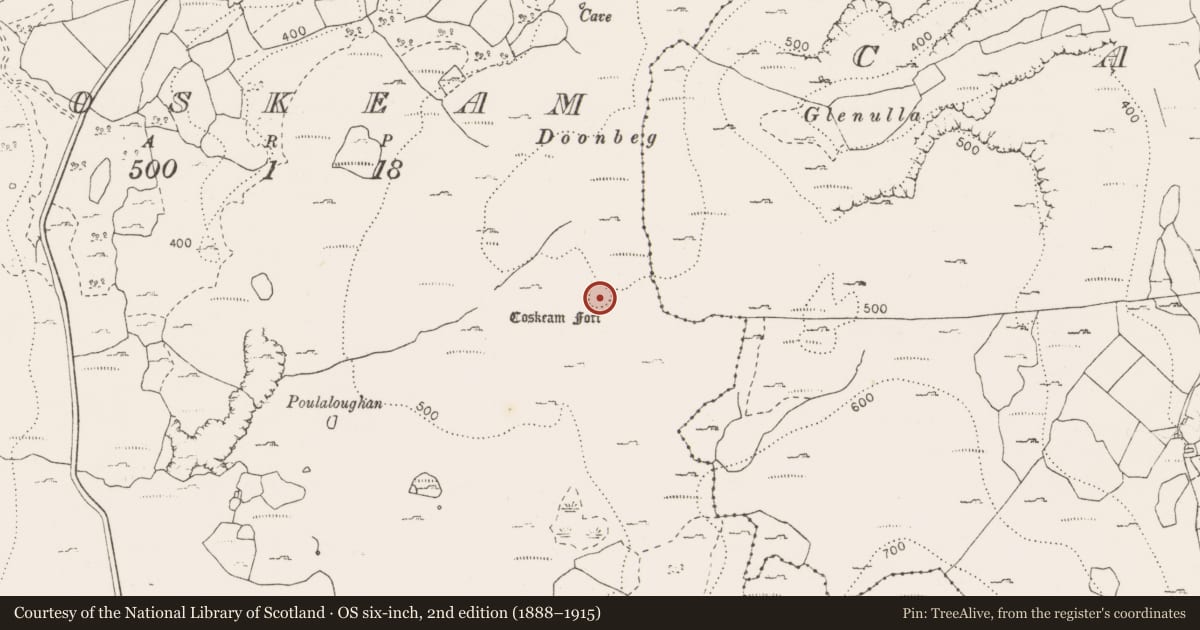Ordnance Survey six-inch map, 2nd edition (1888–1915) covering the location of Ringfort - cashel, Coskeam, County Clare, with a pin at the register's coordinates
