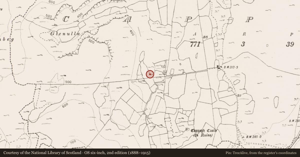 Ordnance Survey six-inch map, 2nd edition (1888–1915) covering the location of Field system, Cappagh, County Clare, with a pin at the register's coordinates