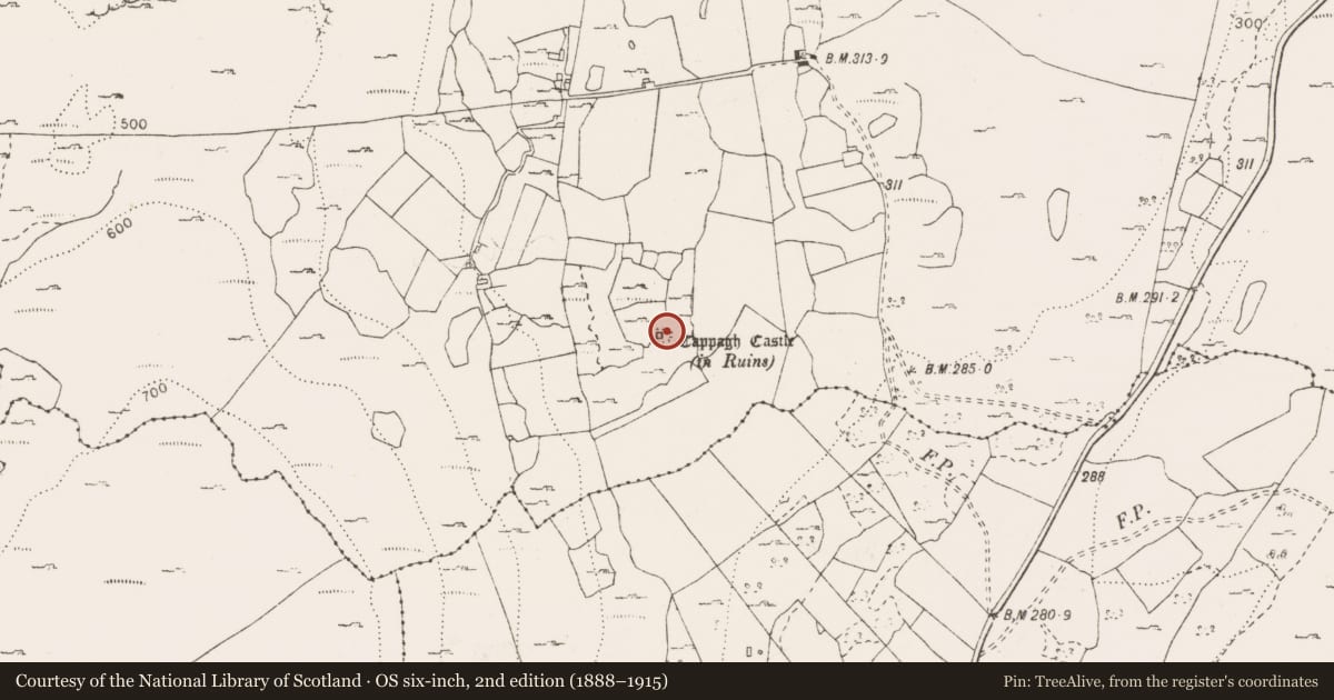 Ordnance Survey six-inch map, 2nd edition (1888–1915) covering the location of Bawn, Cappagh, County Clare, with a pin at the register's coordinates