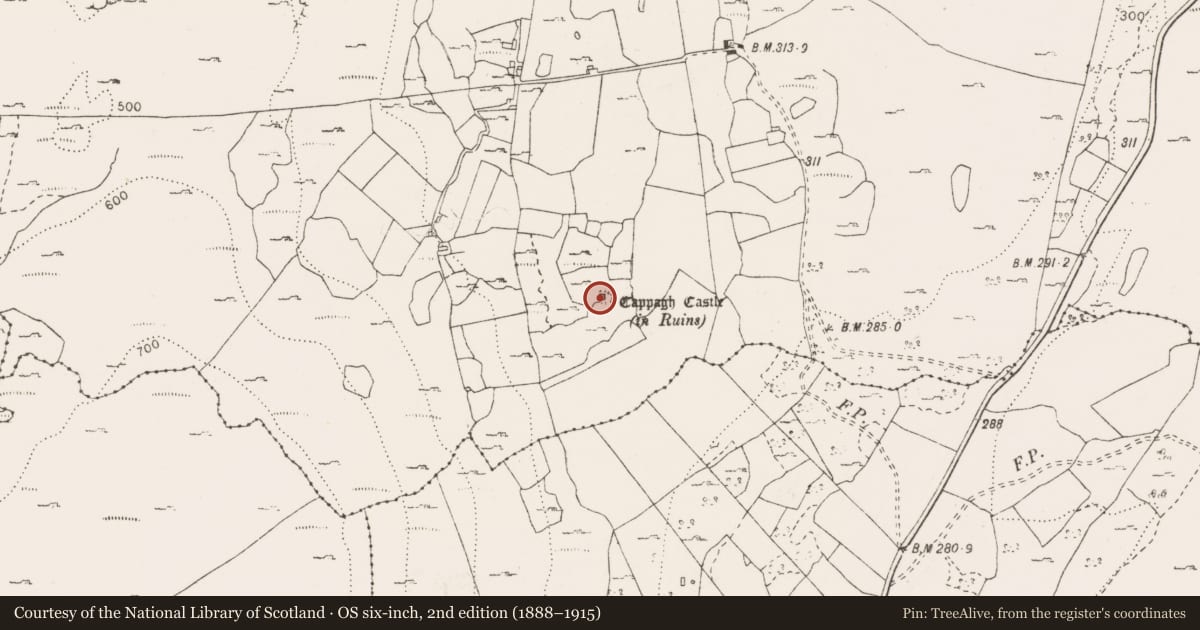 Ordnance Survey six-inch map, 2nd edition (1888–1915) covering the location of Castle - tower house, Cappagh, County Clare, with a pin at the register's coordinates