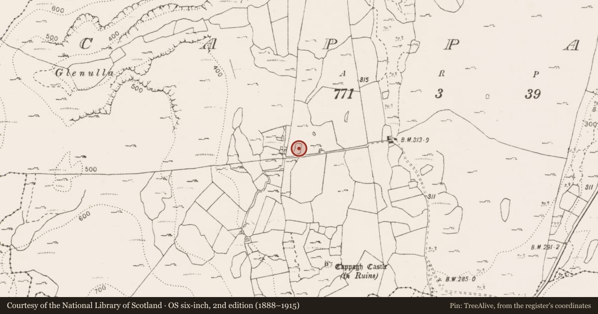 Ordnance Survey six-inch map, 2nd edition (1888–1915) covering the location of Enclosure, Cappagh, County Clare, with a pin at the register's coordinates
